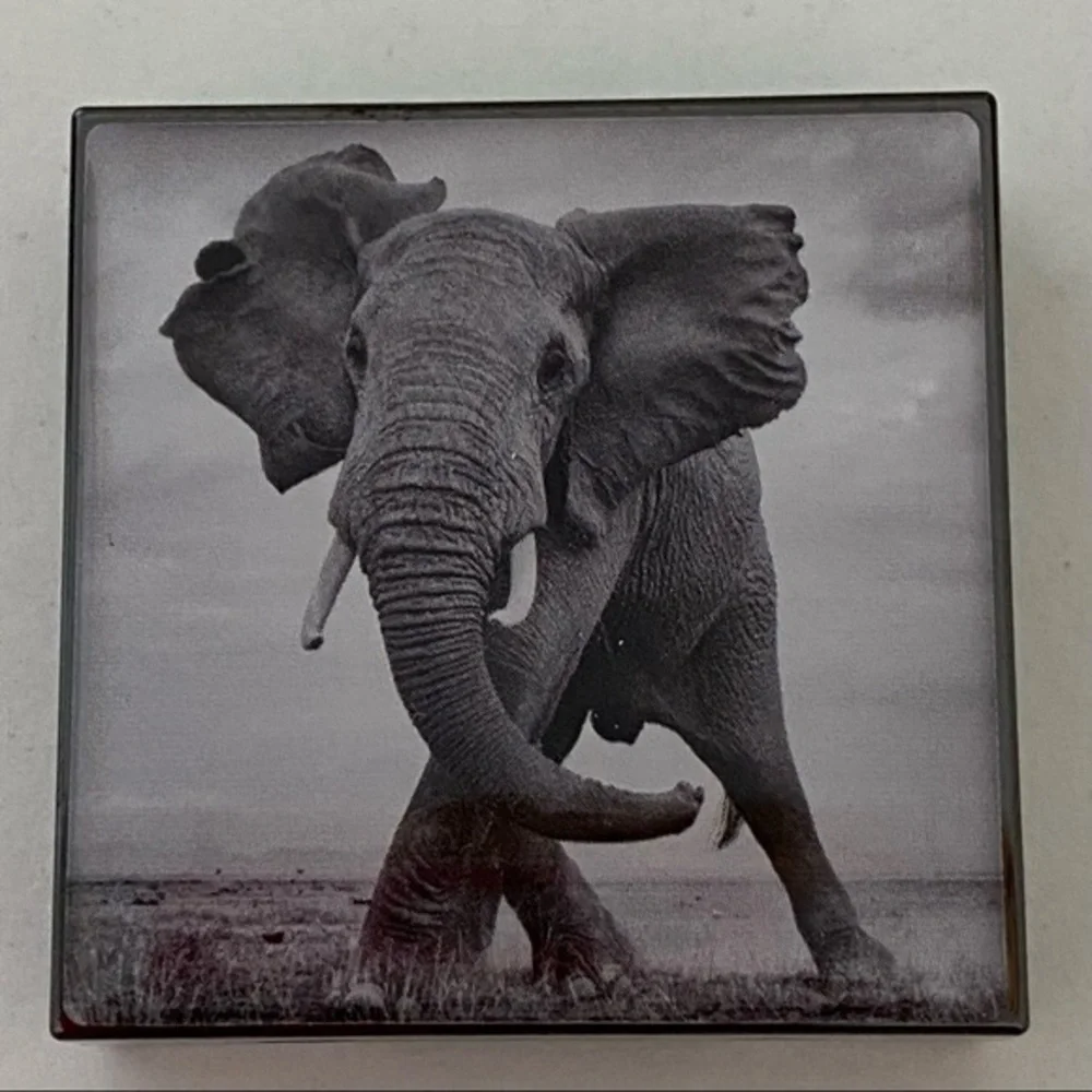Chantecaille chanteceille african